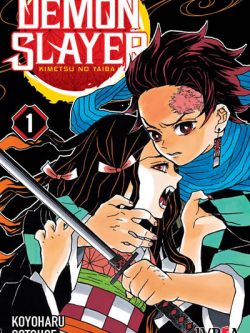 DEMON SLAYER: Kimetsu No Yaiba - Ivrea Arg