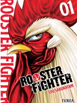 Rooster fighter 1 - Ivrea