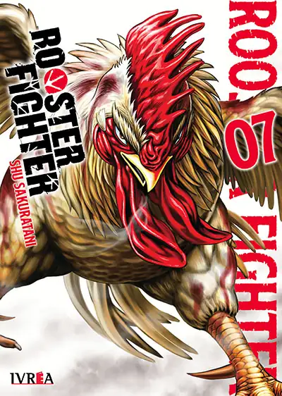 Rooster fighter 7 - Ivrea