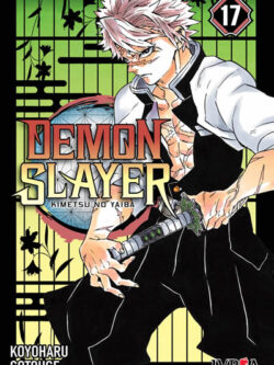 DEMON SLAYER: KIMETSU NO YAIBA #17 - Ivrea