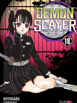 DEMON SLAYER: KIMETSU NO YAIBA #18 - Ivrea