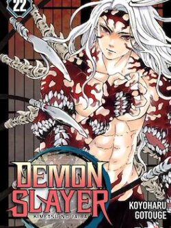 DEMON SLAYER: KIMETSU NO YAIBA #22 - Ivrea