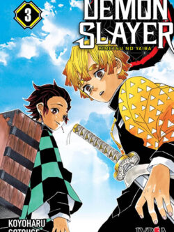 DEMON SLAYER: KIMETSU NO YAIBA #3 - Ivrea