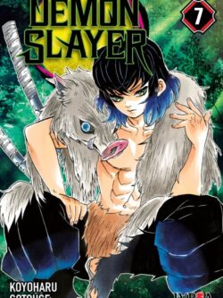 DEMON SLAYER: KIMETSU NO YAIBA #7 - Ivrea